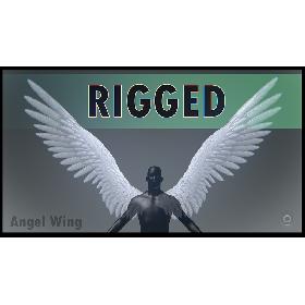 3D Angel Wing model